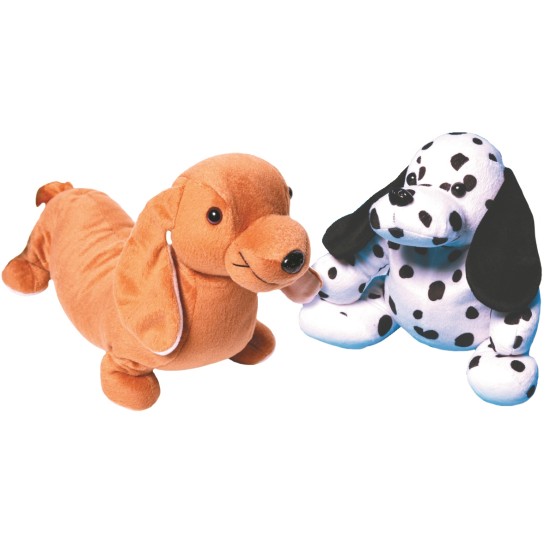 Teacher's Pet Dachshund
