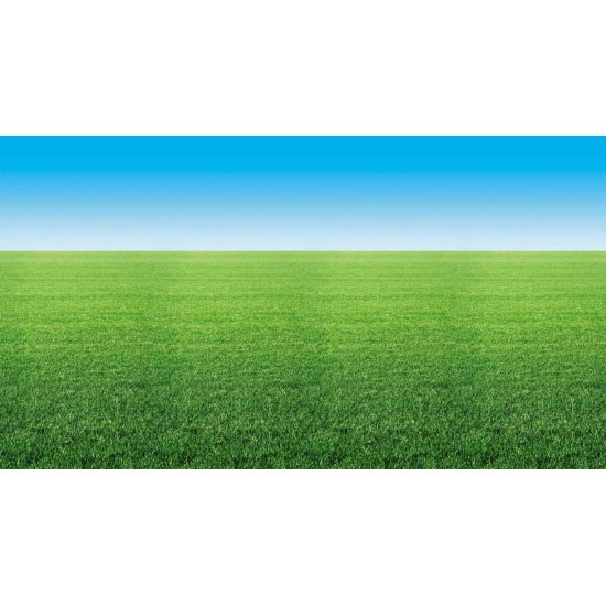 Fadeless Roll Backing Paper Summer Horizon